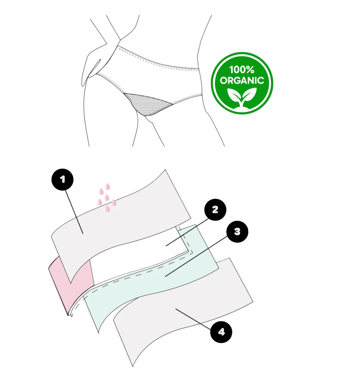 Composition et couches absorbantes des culottes menstruelles Sherydane suisse
